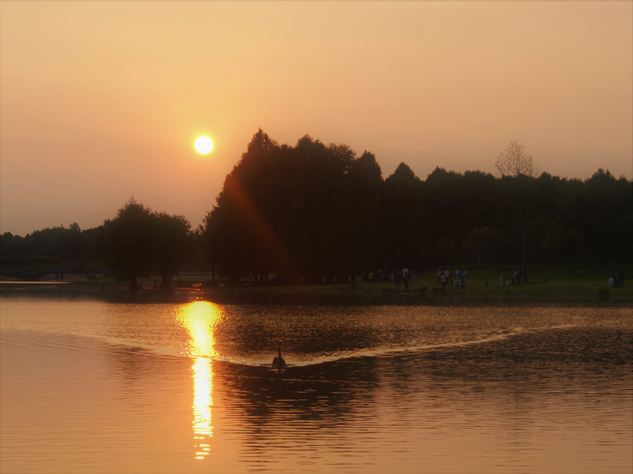 诗篇第五十篇-生命成长