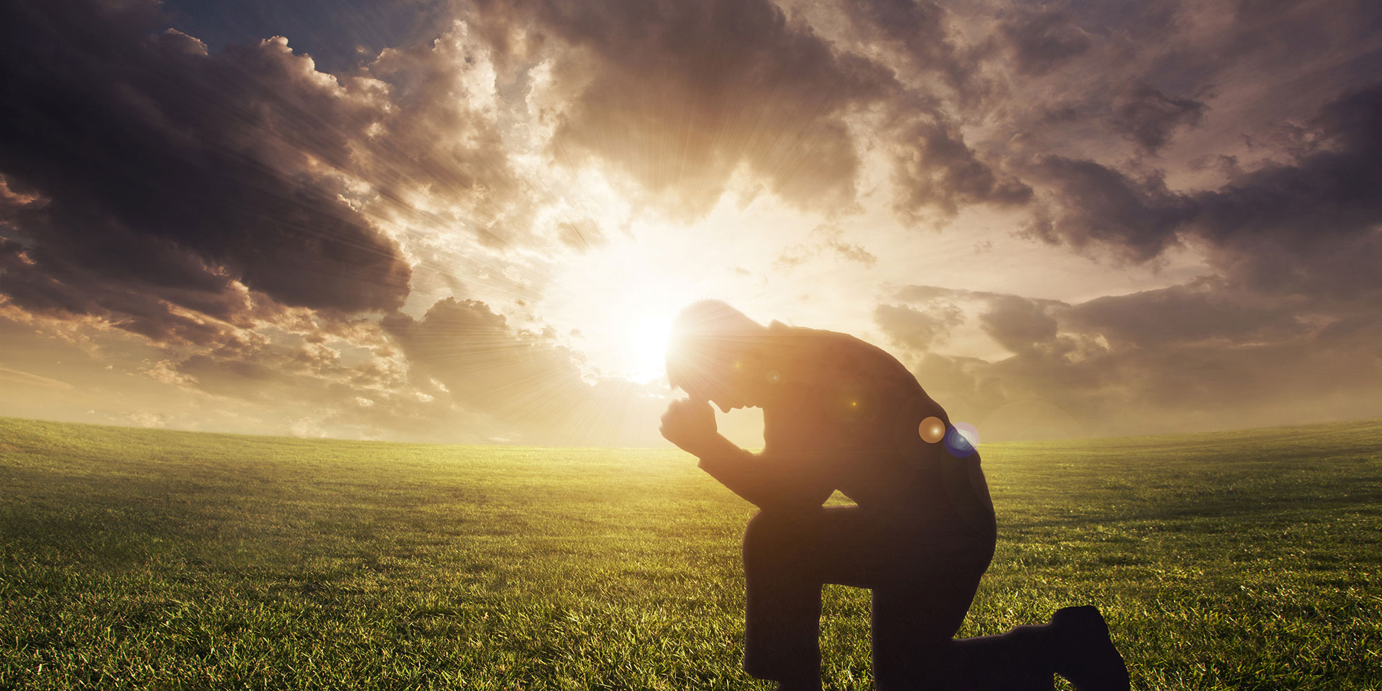 诗篇第五十一篇-生命成长