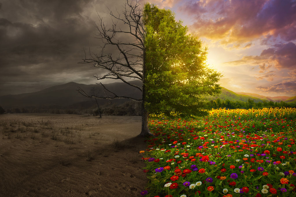 在异象和启示中成长 02-3-生命成长