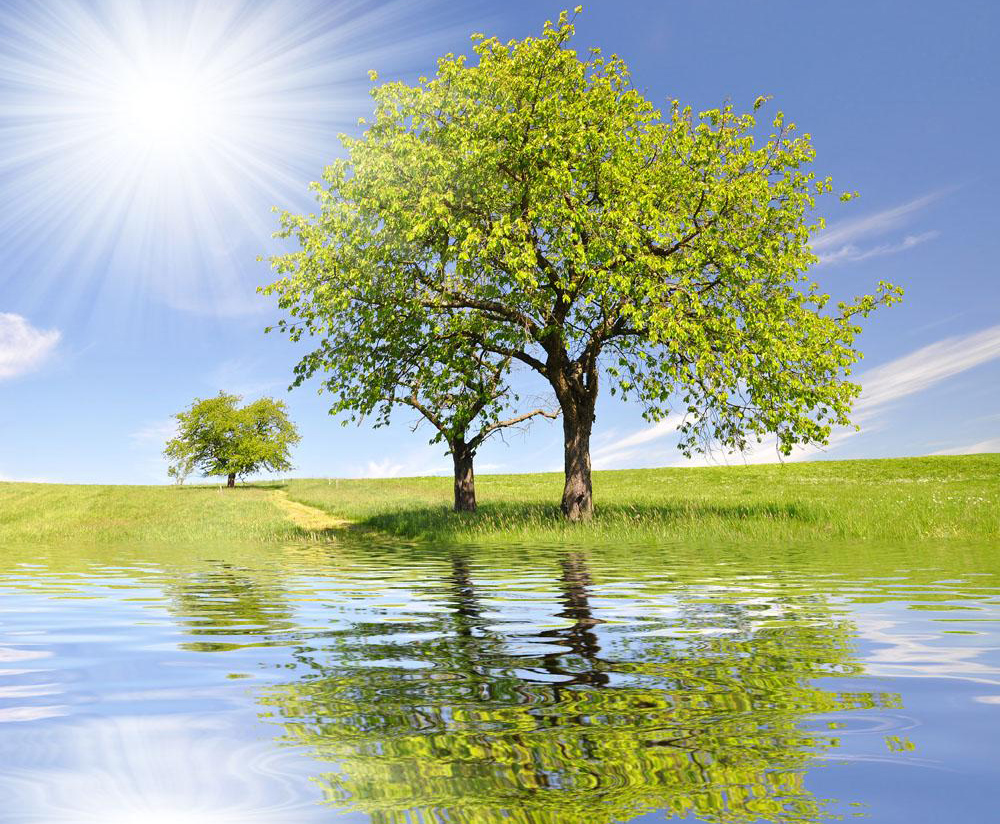 在异象和启示中成长 02-4-生命成长