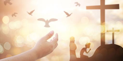 在异象和启示中成长 03-1-生命成长