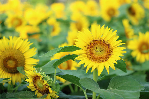 在异象和启示中成长 04-1-生命成长