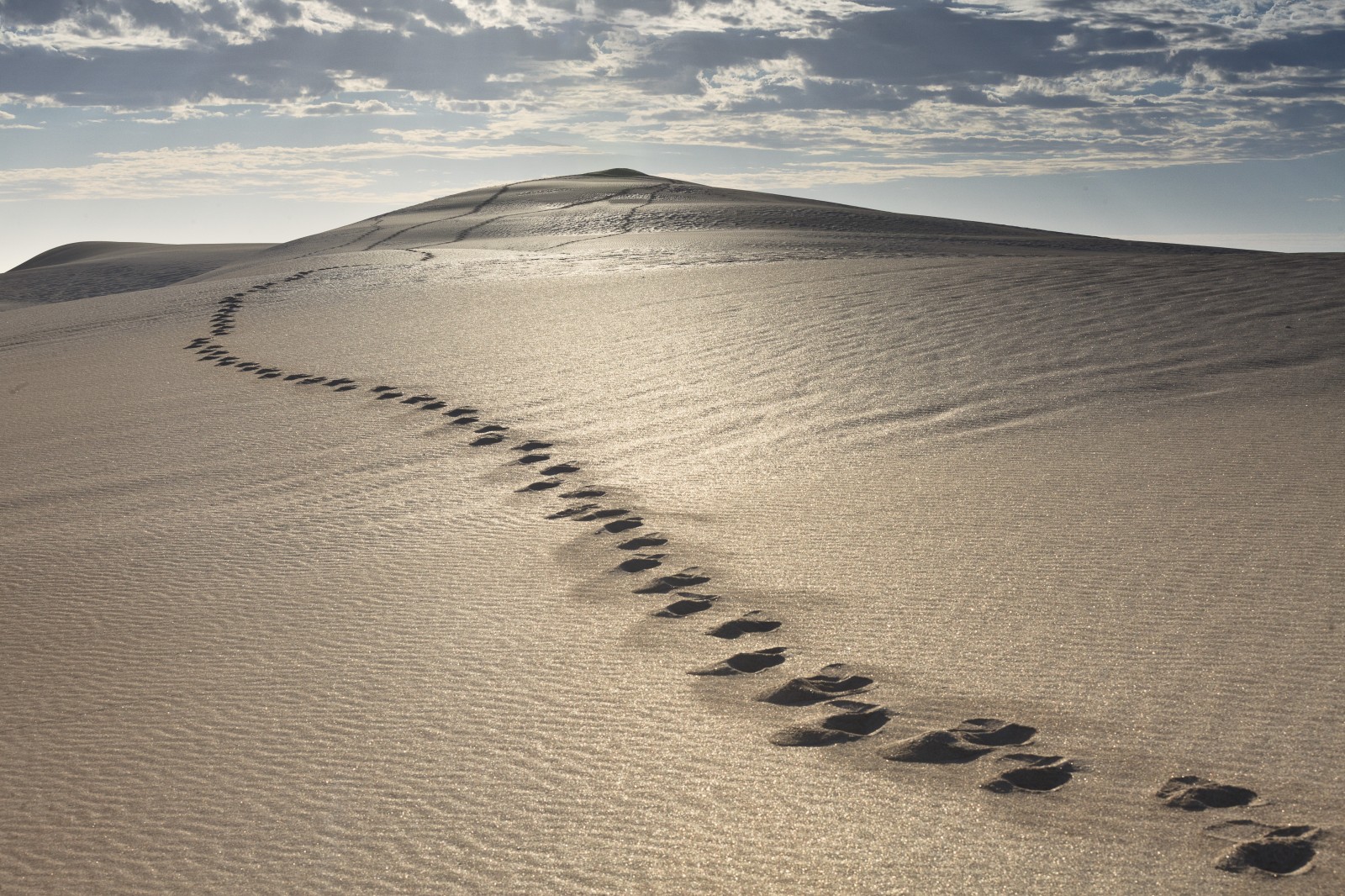 《亚伯拉罕、以撒、雅各的神》第六章　亚伯拉罕与儿子（下）－亚伯拉罕献以撒(1/2)-生命成长