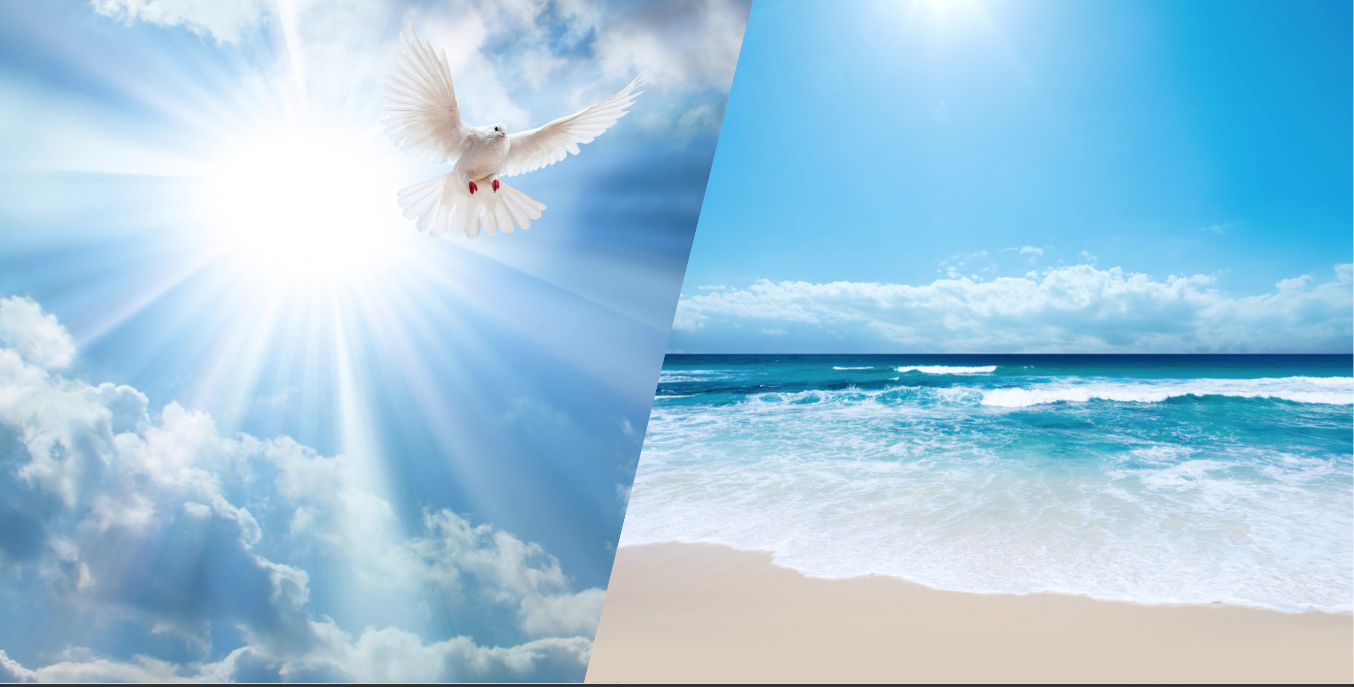 在异象和启示中成长 09-1-生命成长