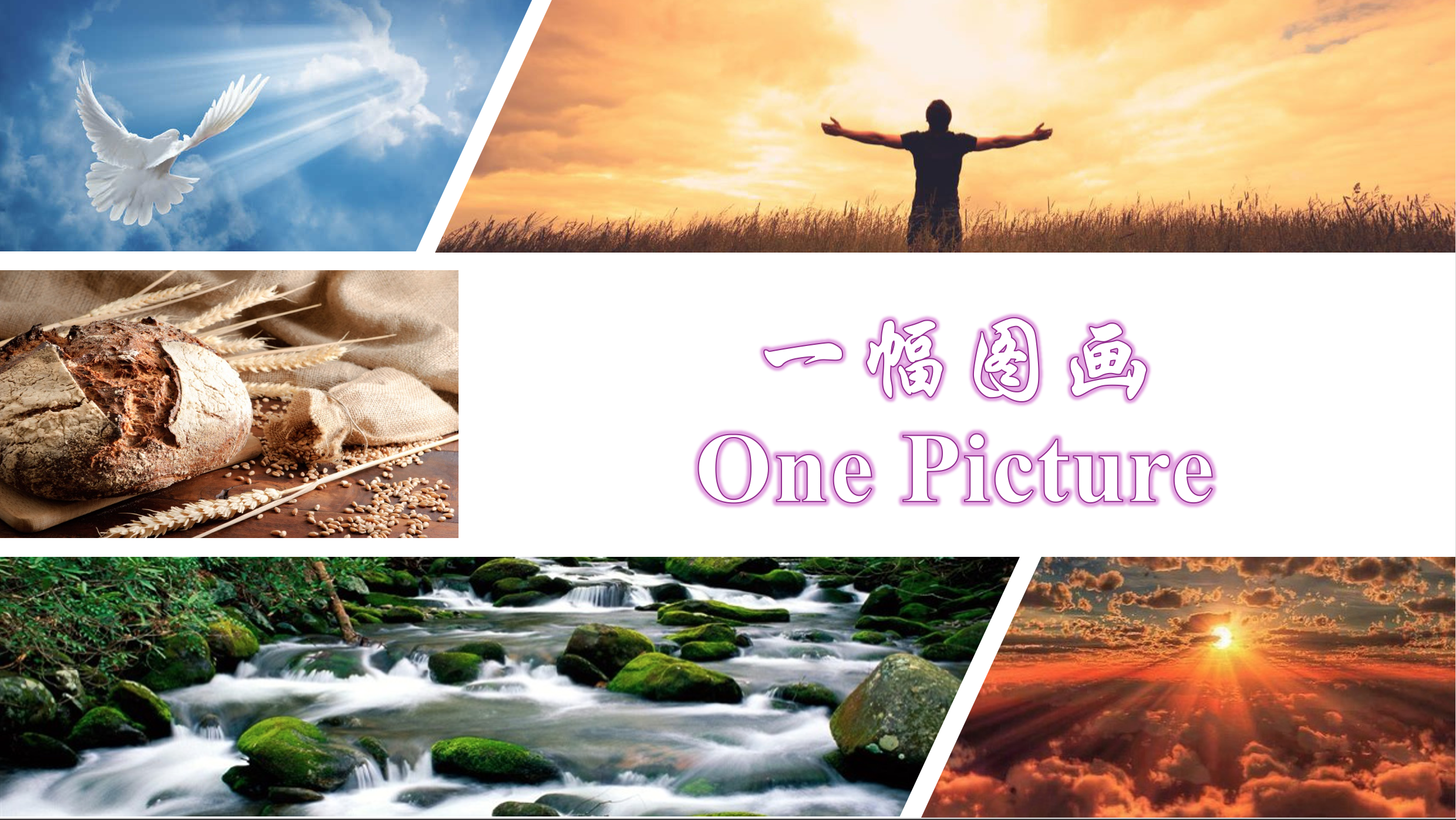 在异象和启示中成长 11上-4-生命成长