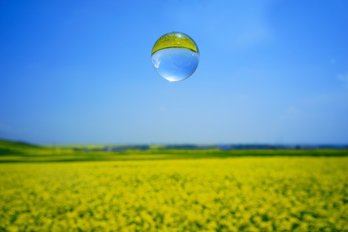 在异象和启示中成长 11下-2-生命成长