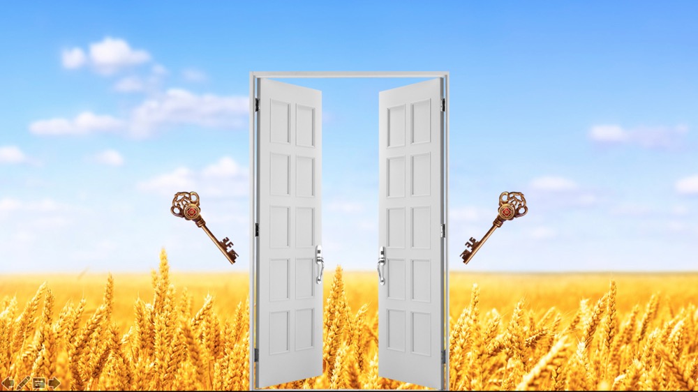 在异象和启示中成长 14-2-生命成长