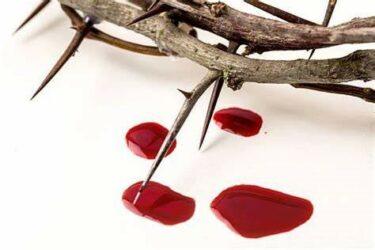 彼得前书第一章17-21节 信息分享-生命成长