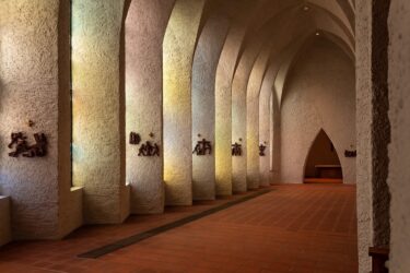 《重生》第一篇　重生的意义（下）-生命成长