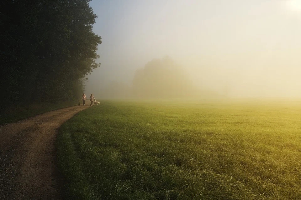 《重生》第三篇　得着了新生命（上）-生命成长