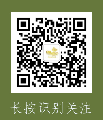 图片[2]-云上牧歌—教会是我甜美家-生命成长