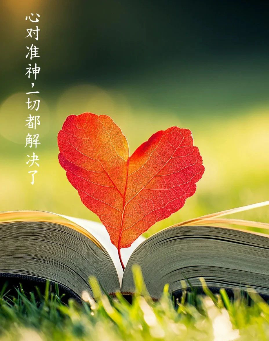 图片[1]-2025.06.26每日晨更 周四-生命成长