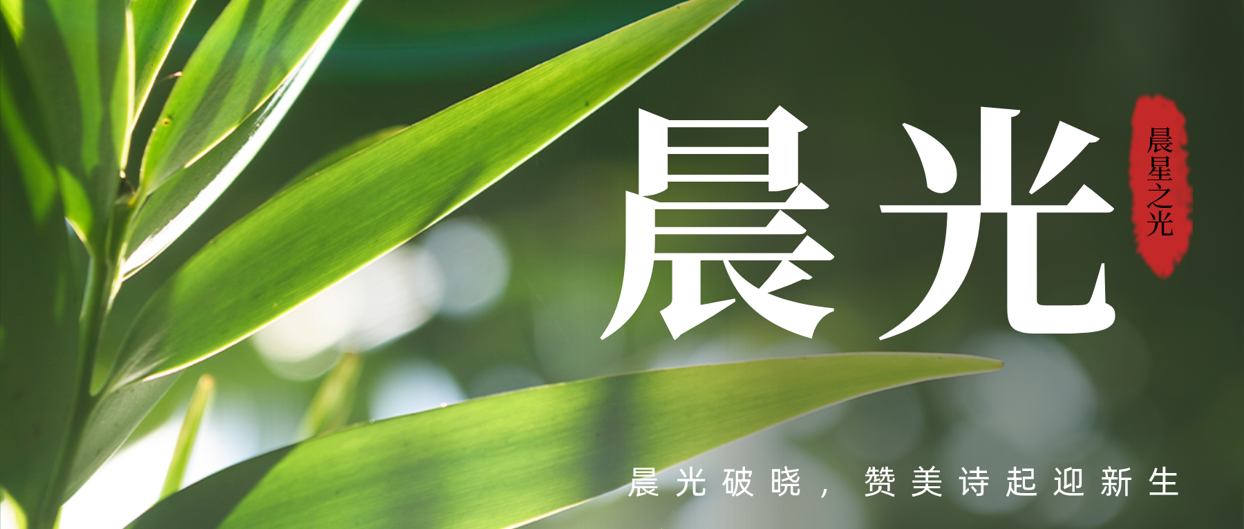 图片[1]-云上牧歌—赞美至高主-生命成长