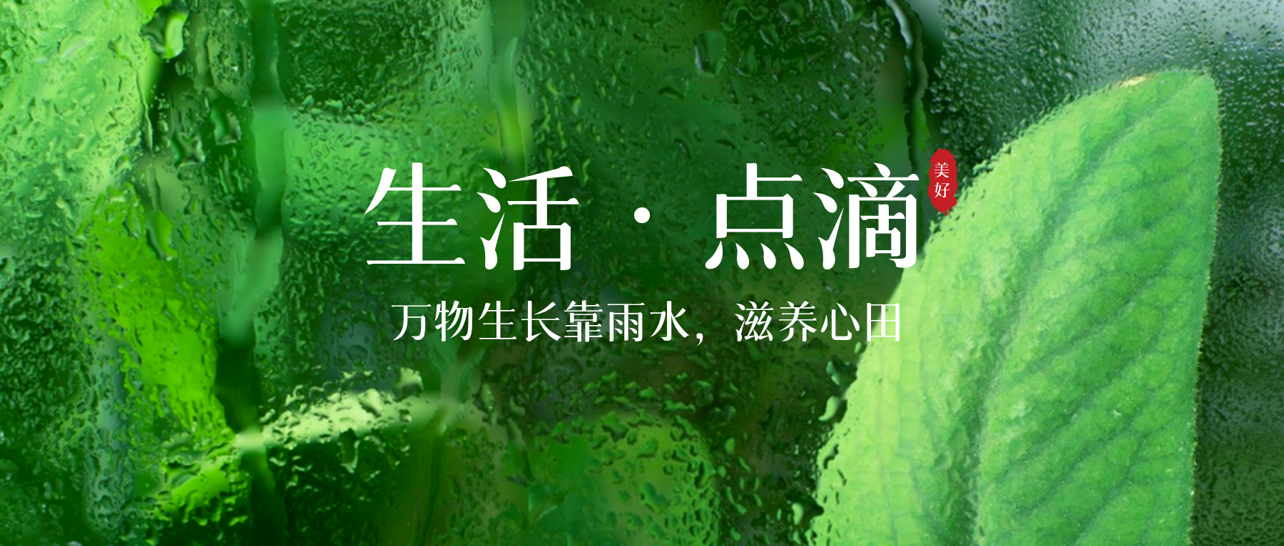 图片[2]-生命成长