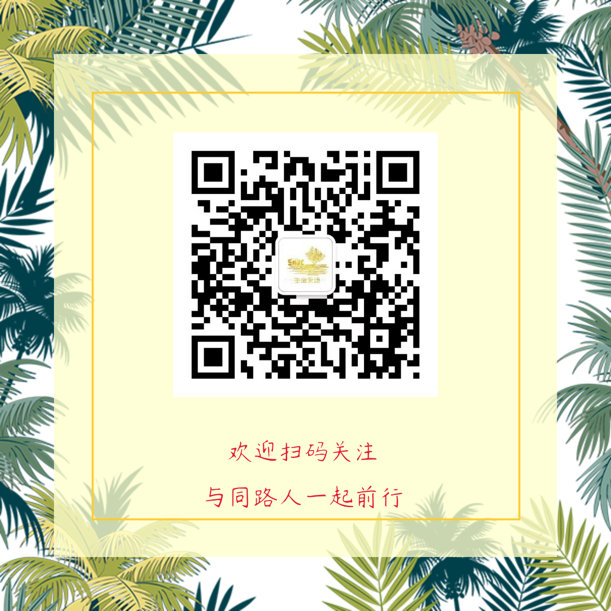 图片[2]-2025.07.06主日信息-生命成长