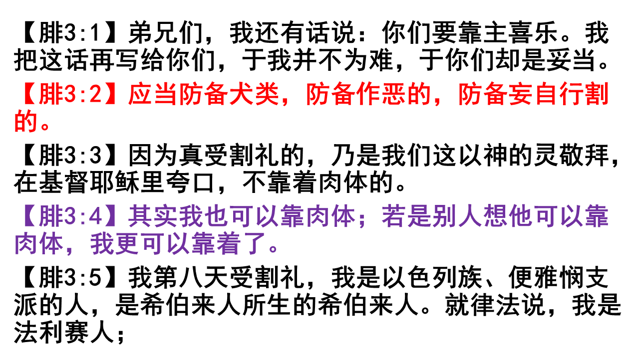 图片[2]-2025.11.02主日信息(瓦市) — 不靠肉体乃靠基督-生命成长