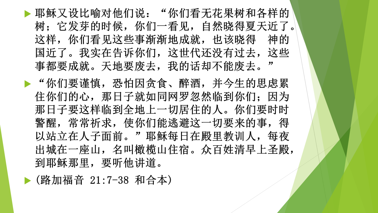 图片[4]-2025.11.30主日信息 — 得以站立在人子面前-生命成长